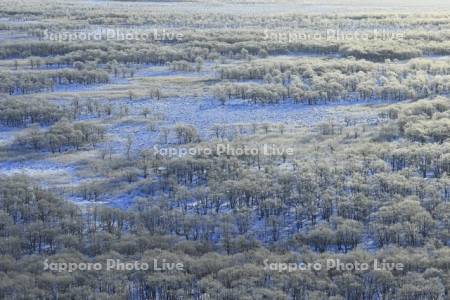 霧氷の釧路湿原