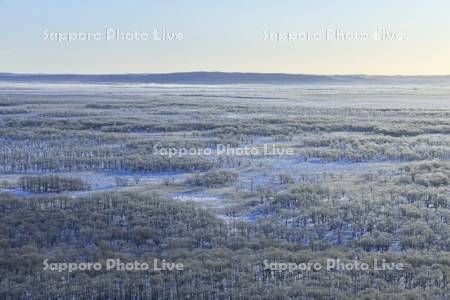 霧氷の釧路湿原