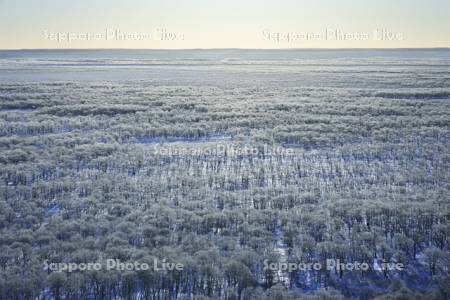 霧氷の釧路湿原