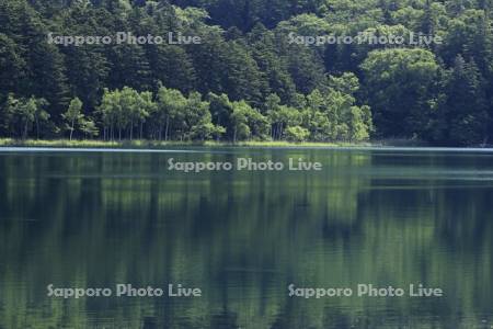 新緑のオンネトー