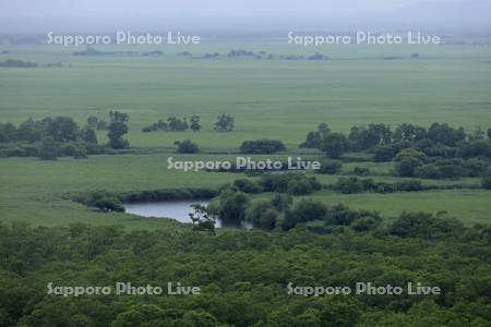 細岡展望台から夏の釧路湿原の釧路川