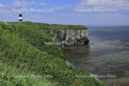 夏の能取岬とオホーツク海