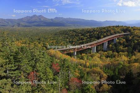 三国峠の紅葉と松見大橋R273