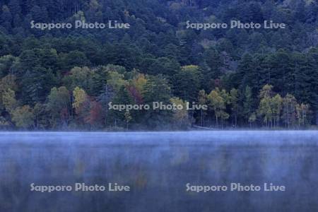 紅葉するオンネトー湖畔と朝もや