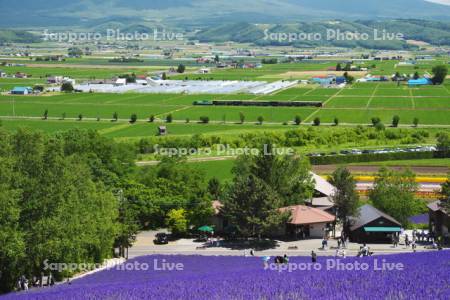 ファーム富田とノロッコ号