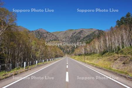 Sapporophotolive 作品詳細 国道273号と三国峠橋