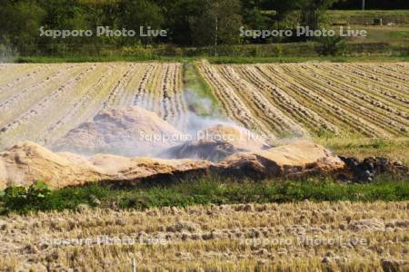 稲わらのわら焼き