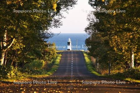 能取岬灯台と秋の道とオホーツク海
