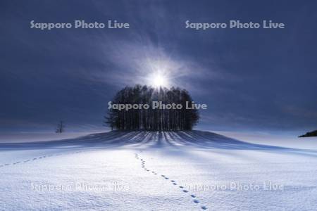 マイルドセブンの丘と雪原