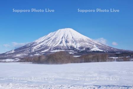 羊蹄山と雪原