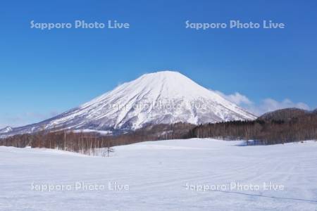 羊蹄山と雪原