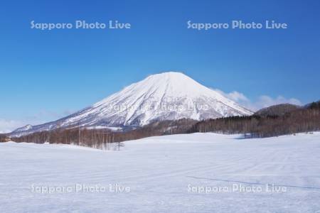羊蹄山と雪原