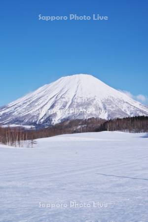羊蹄山と雪原