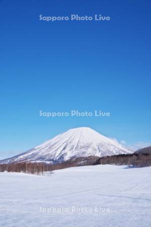 羊蹄山と雪原