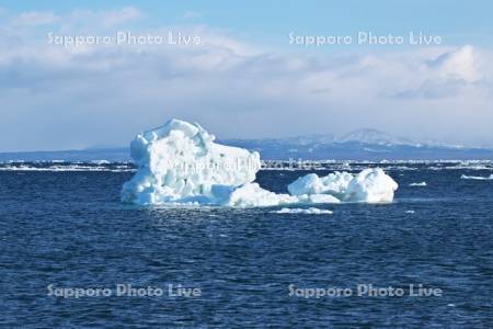 流氷と国後島