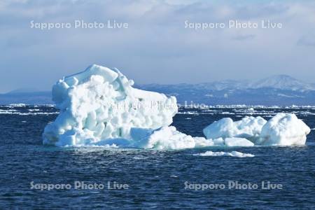 流氷と国後島