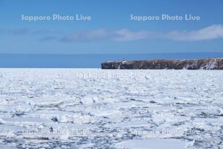 能取岬と流氷とオホーツク海