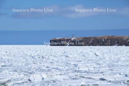 能取岬と流氷とオホーツク海