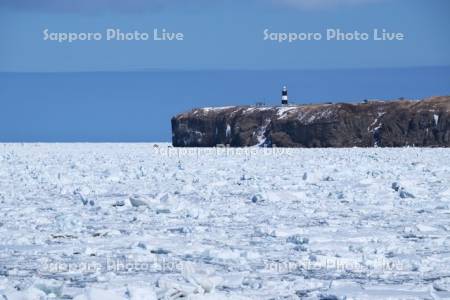 能取岬と流氷とオホーツク海