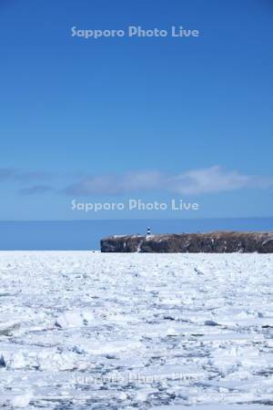 能取岬と流氷とオホーツク海