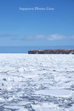 能取岬と流氷とオホーツク海