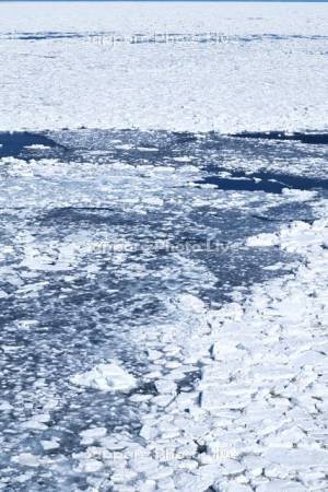 能取岬の流氷とオホーツク海