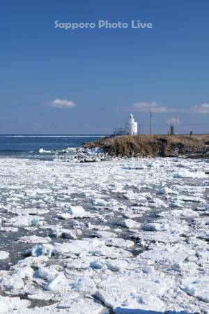 納沙布岬と流氷