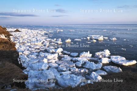 納沙布岬の朝の流氷