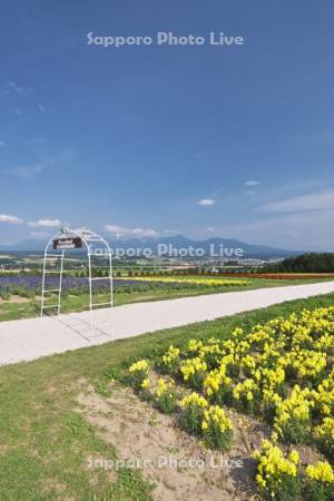 フラワーランド　十勝岳連峰とヘブンロード白い道