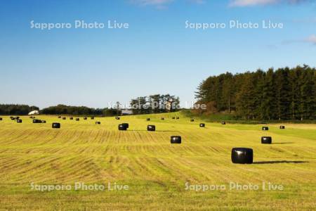 牧草ロール