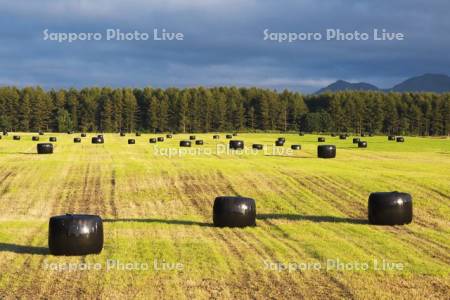 牧草ロール