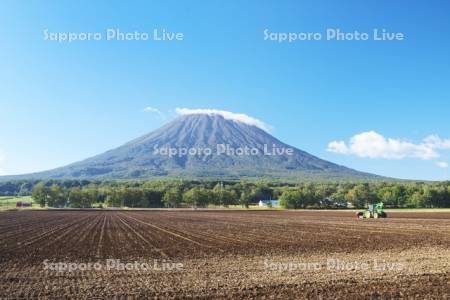 羊蹄山とトラクター