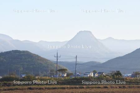 黄金山と田んぼ