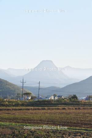 黄金山と田んぼ
