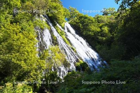 オシンコシンの滝