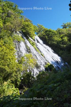 オシンコシンの滝