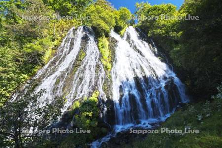 オシンコシンの滝