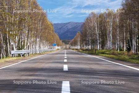 十勝三股の道　国道273号線