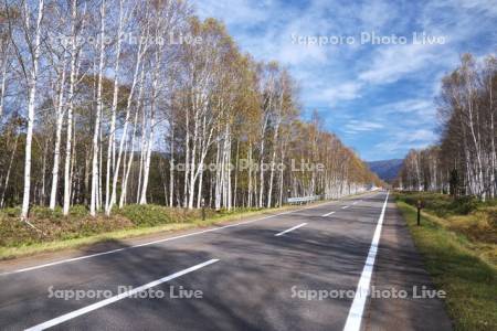 十勝三股の道　国道273号線