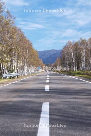 十勝三股の道　国道273号線