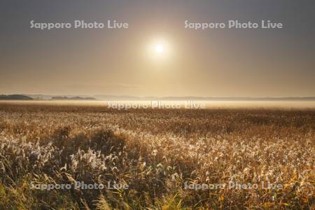 サロベツ原野の日の出と地霧