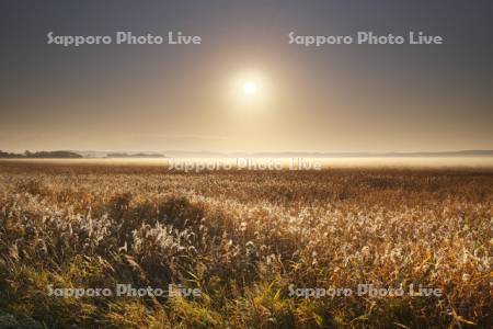 サロベツ原野の日の出と地霧