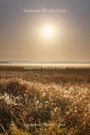 サロベツ原野の日の出と地霧