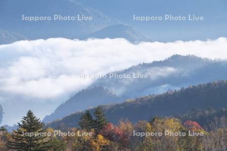 糠平湖の雲海と紅葉