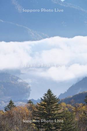 糠平湖の雲海と紅葉