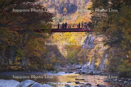二見吊橋と豊平川と紅葉