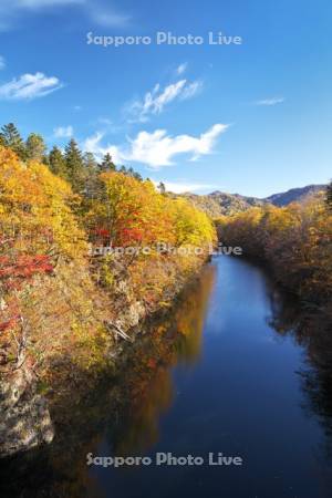 豊平川の紅葉