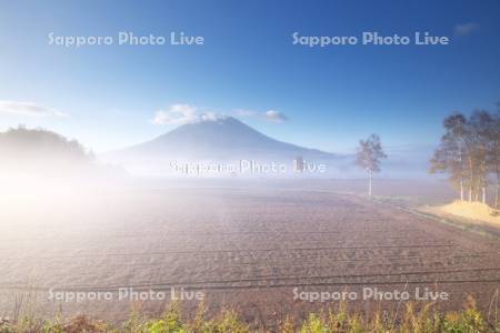 羊蹄山と朝霧の田園風景