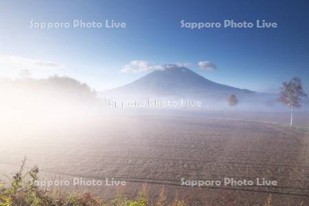 羊蹄山と朝霧の田園風景