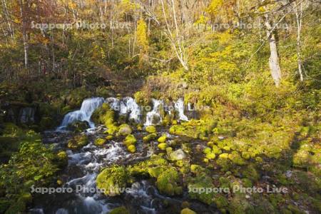 ふきだし公園　羊蹄のふきだし湧水